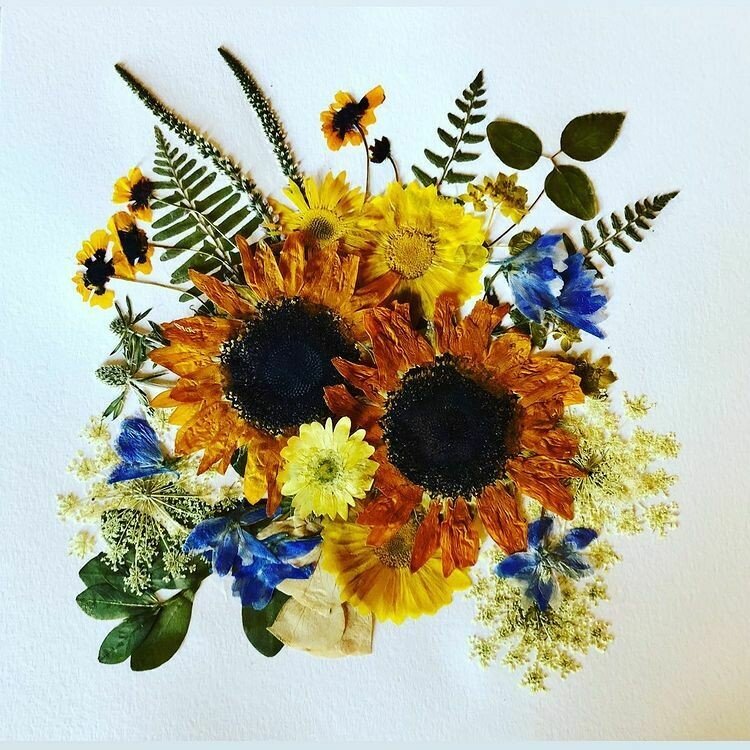 https://passalongs.com/wp-content/uploads/2020/12/sunflowers-pressed.jpg