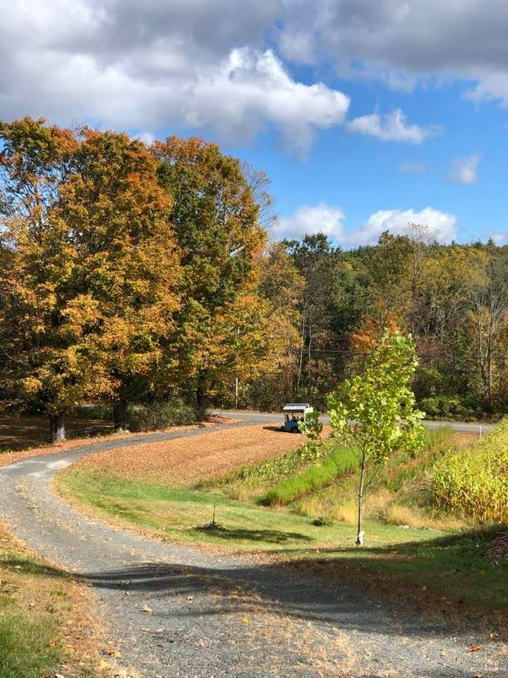 view of field and road