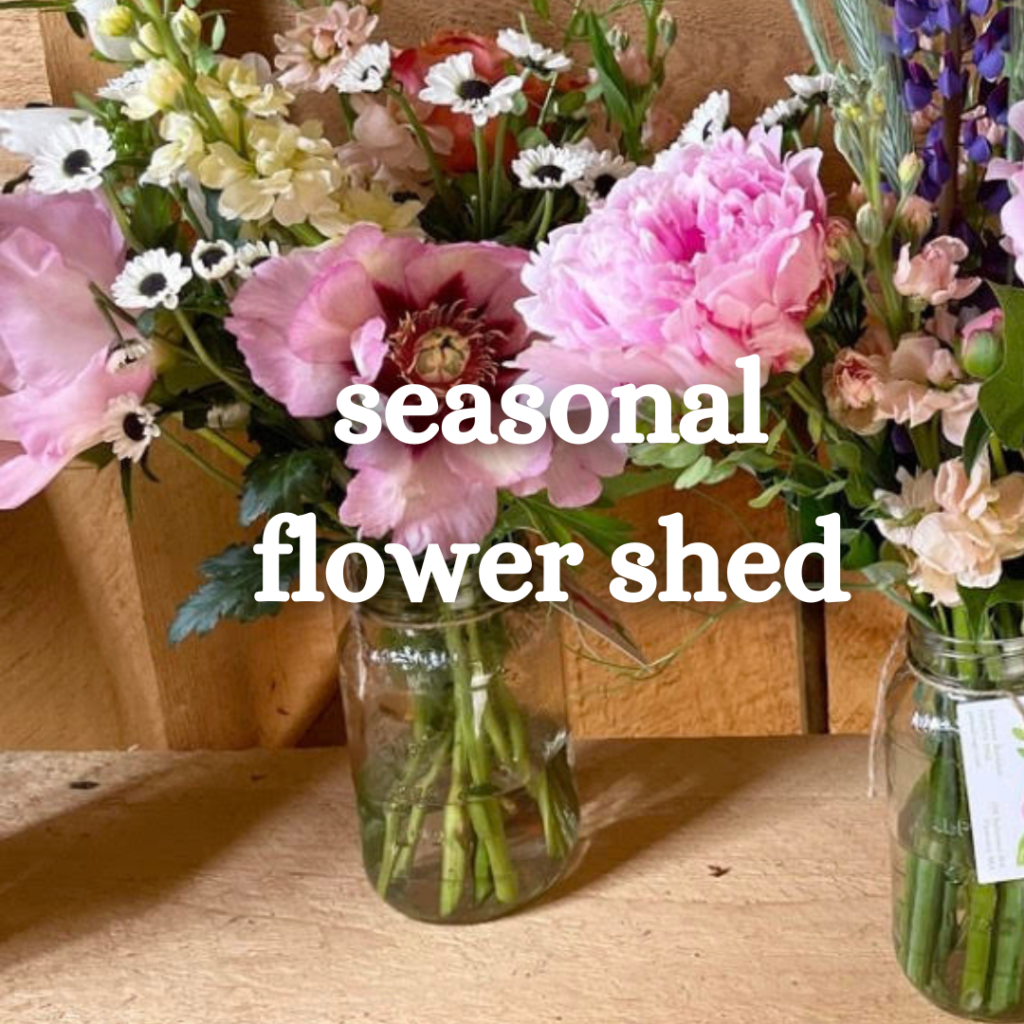 click to learn about the seasonal flower shed